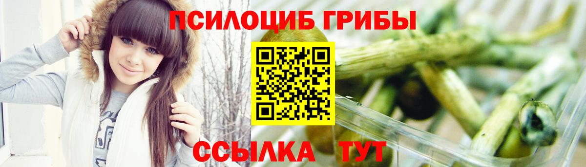 закладки  Псилоцибиновые грибы Psilocybe  Вход с VPN  Новокубанск  Галлюциногенные грибы ЛСД 