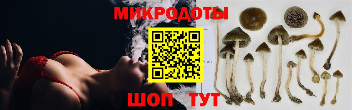 Галлюциногенные грибы GOLDEN TEACHER Новокубанск